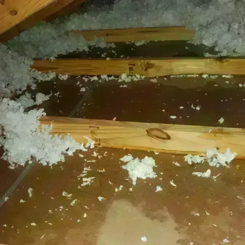 Attic Water Damage in North Fork, AZ